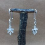 Tapül foye (hojas de canelo)